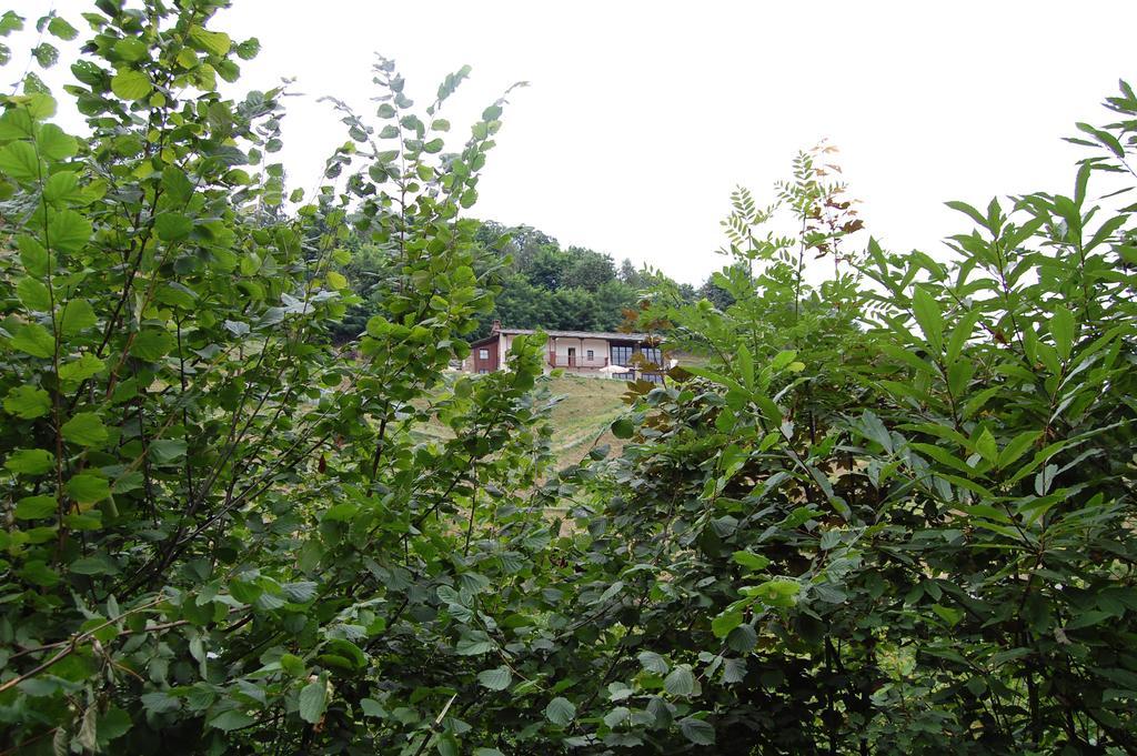 Sere Di Sosta Bagnolo Piemonte 外观 照片